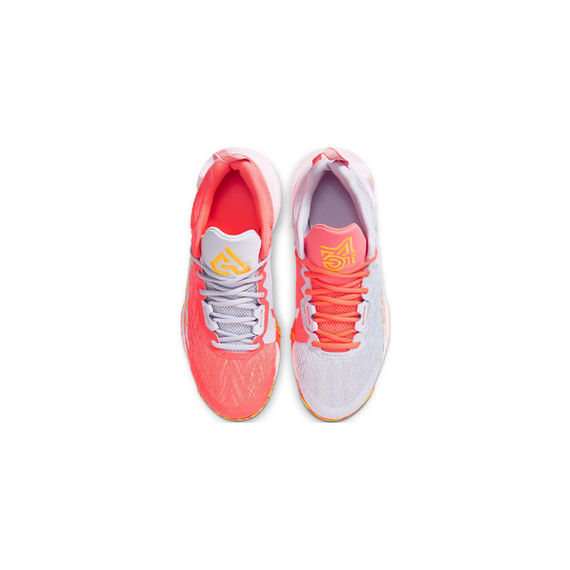 НАЙК Яннис Бессмертие 2 Детские баскетбольные мячи Низенький Вер Юнисекс