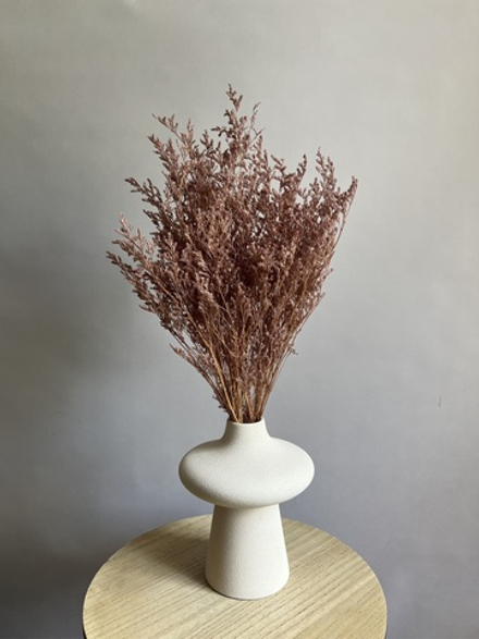 Кермек коричневый