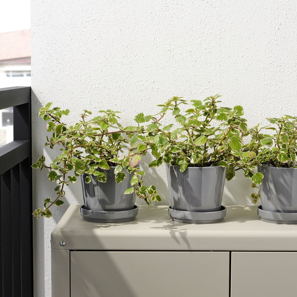 IKEA CITRUSFRUKT  (ИКЕА СИТРУСФРУКТ)  -  Цветочный горшок с подставкой, серый, 12 см