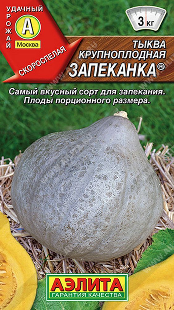 Тыква крупноплодная &quot;Запеканка&quot; 1г., Россия.