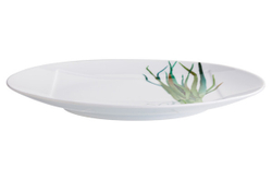 Тарелка обеденная 27см Noritake Овощной букет Зеленый лук