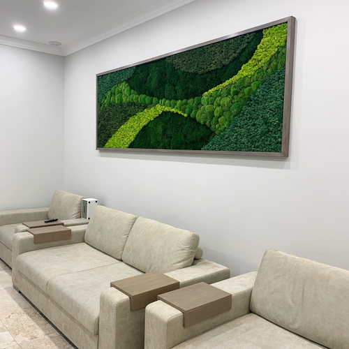 Пано из стабилизированного мха для стоматологической клиники "Cool Clinic"