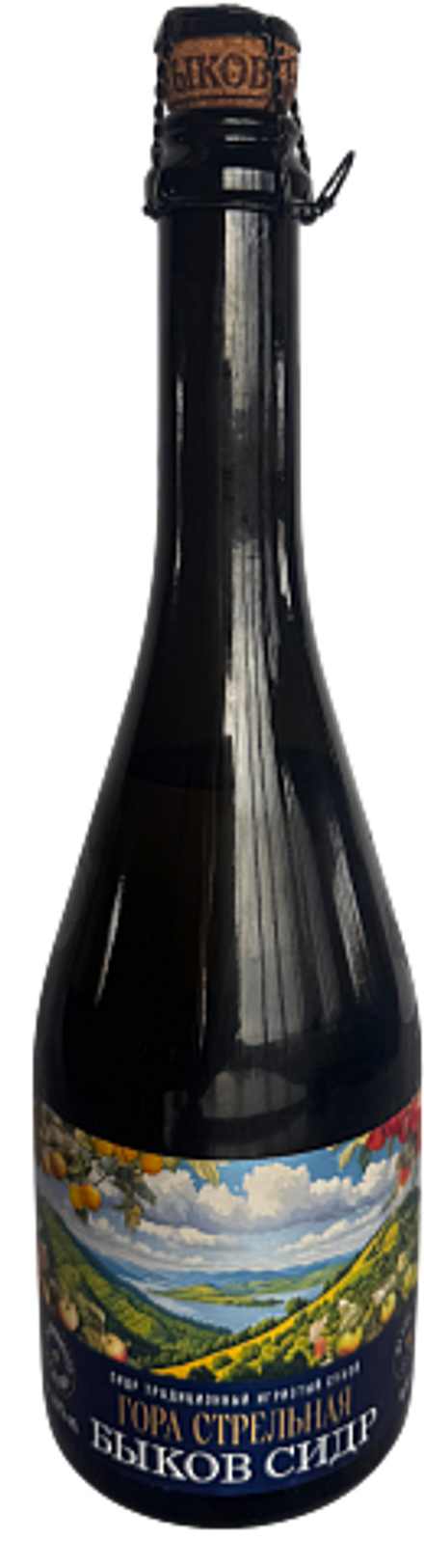 Сидр Быков Сидр Гора Стрельная / Bykov Cider Gora Strelnaya 0.75 - стекло
