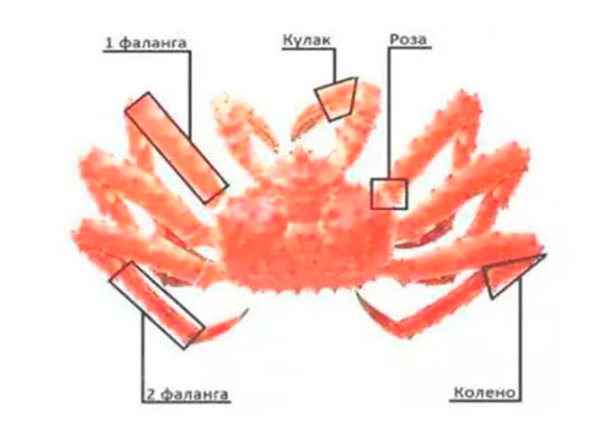 Мясо камчатского краба, роза~400г купить в СПб c доставкой от GS MARKET,  цены в интернет-магазине