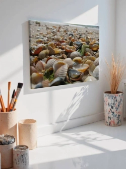 Картина на стену 40 X 50 Ракушки