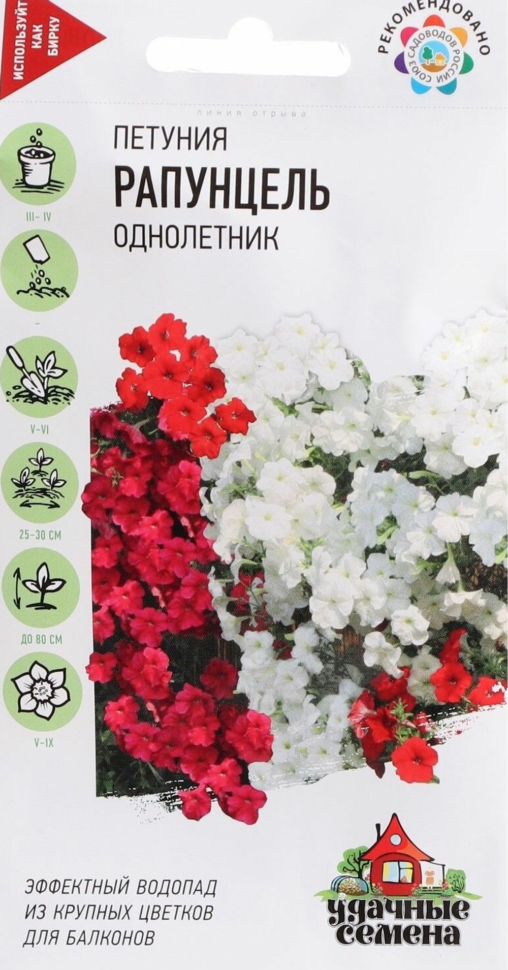 рапу