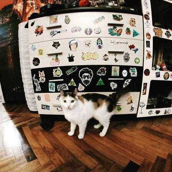 Стикербук PARAZITA KUSOK 5 Peace