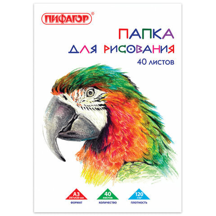 Папка для рисования БОЛЬШОГО ФОРМАТА А3, 40 л., 120 г/м2, ПИФАГОР, 297х420 мм, "Попугай"