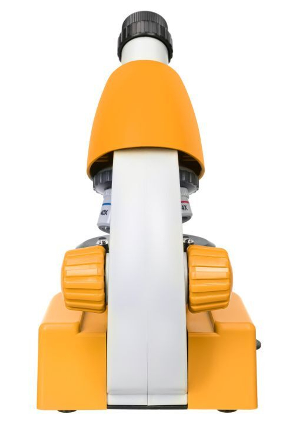 Микроскоп Levenhuk Discovery Micro Solar с книгой