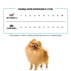 Сухой корм Karmy Hypoallergenic Mini для взрослых собак мелких пород, гипоаллергенный, с ягненком