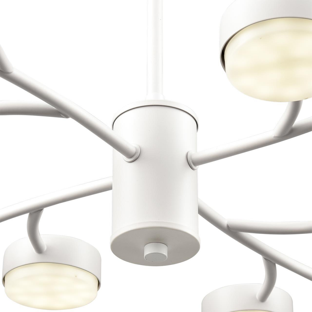 Подвесная люстра Lumion TORINA 8265/12