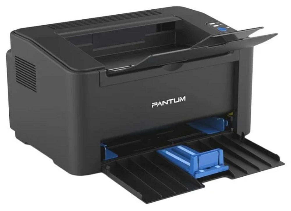 Принтер лазерный черно-белый Pantum P2500NW