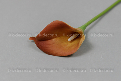 Каллы латекс терракотовые