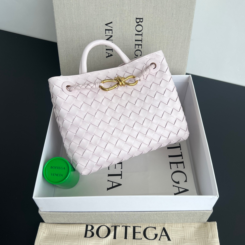Bottega Veneta Small Andiamo 25 cm