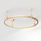 Шинопровод подвесной Arlight Art-Apriori-Round-Rod-200-R800 048481