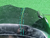 Кожух запасного колеса Tank 500 (2021-н.в.)