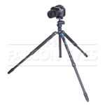 Falcon Eyes Arctic Line 517 SBH-5x