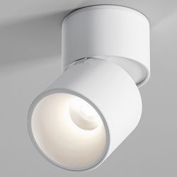 Накладной светильник Elektrostandard Rolly a067487