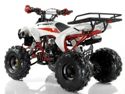 Квадроцикл MOTAX ATV Raptor Super LUX 125 cc