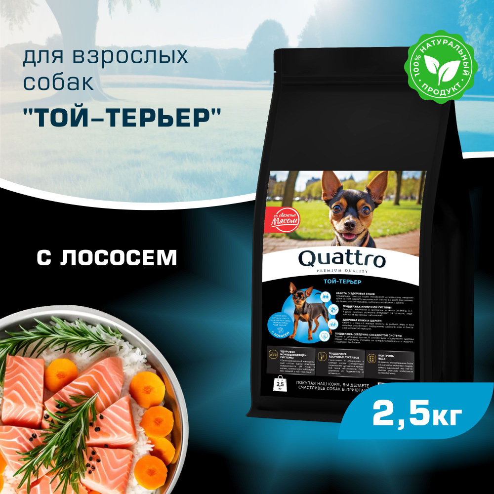 Корм сухой для взрослых собак породы Той-терьер, с лососем, 2,5 кг, QUATTRO