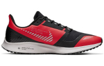 Кроссовки Nike Pegasus 36 Shield