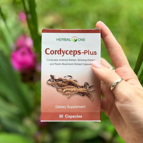 Тайские капсулы Кордицепс-Плюс Cordyceps plus Herbal One