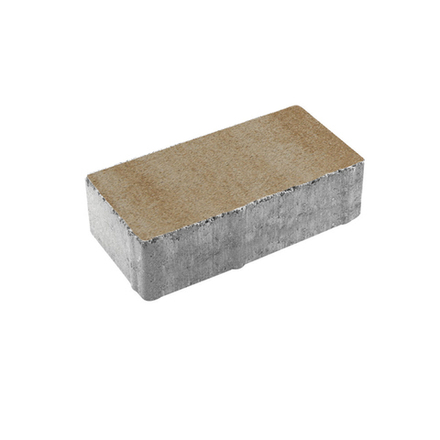 Тротуарная плитка ПРЯМОУГОЛЬНИК 200x100 мм - Искусственный камень Степняк