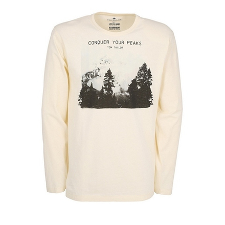 Мужская фуфайка бежевая с принтом Tom Tailor 70931/5609 131