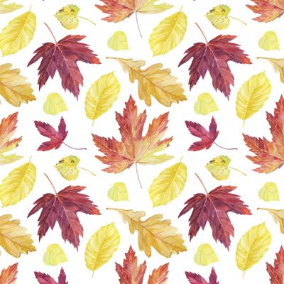 золотая осень (белый фон)