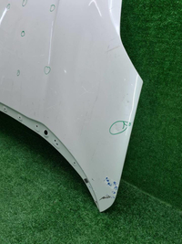 Капот Zeekr 001 (2021-н.в.)