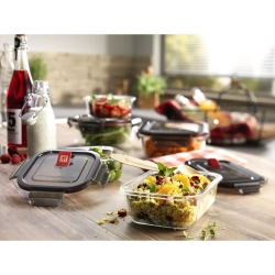 Zwilling - Gusto прямоугольный стеклянный контейнер 600 мл / артикул   39506-001-0  / GTIN 4009839392313