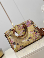 Louis Vuitton Speedy 25