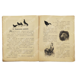 Петя-петушок золотой-гребешок масляна головушка, 1905.