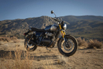 Royal Enfield Bear 650 Golden Shadow (Mid)