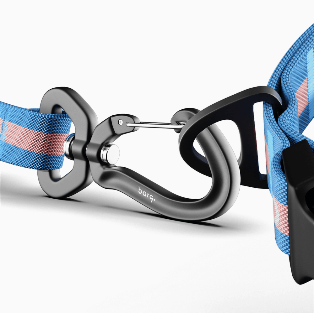 Поводок Stripes