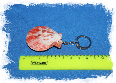 Брелок из ракушки Морской Гребешок сдвоенный (ассорти)