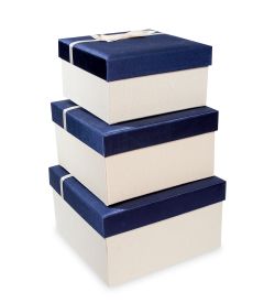 WF-39-B Набор коробок из 3шт «Прямоугольник» цв.бел./син.