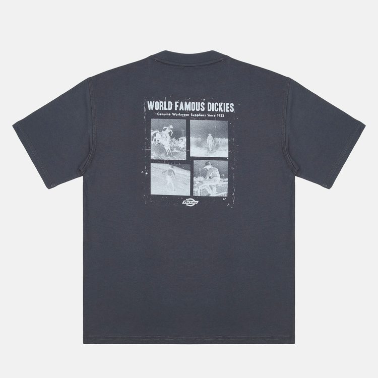 Футболка мужская Dickies Wolfhurst Short Sleeve Tee 