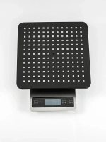 Душевая стойка с термостатом и тропическим душем G2491-6