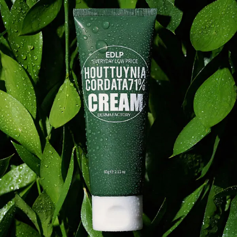 Крем для лица увлажняющий с экстрактом Хауттюйнии Derma Factory Houttuynia Cordata 71% Cream, 60г