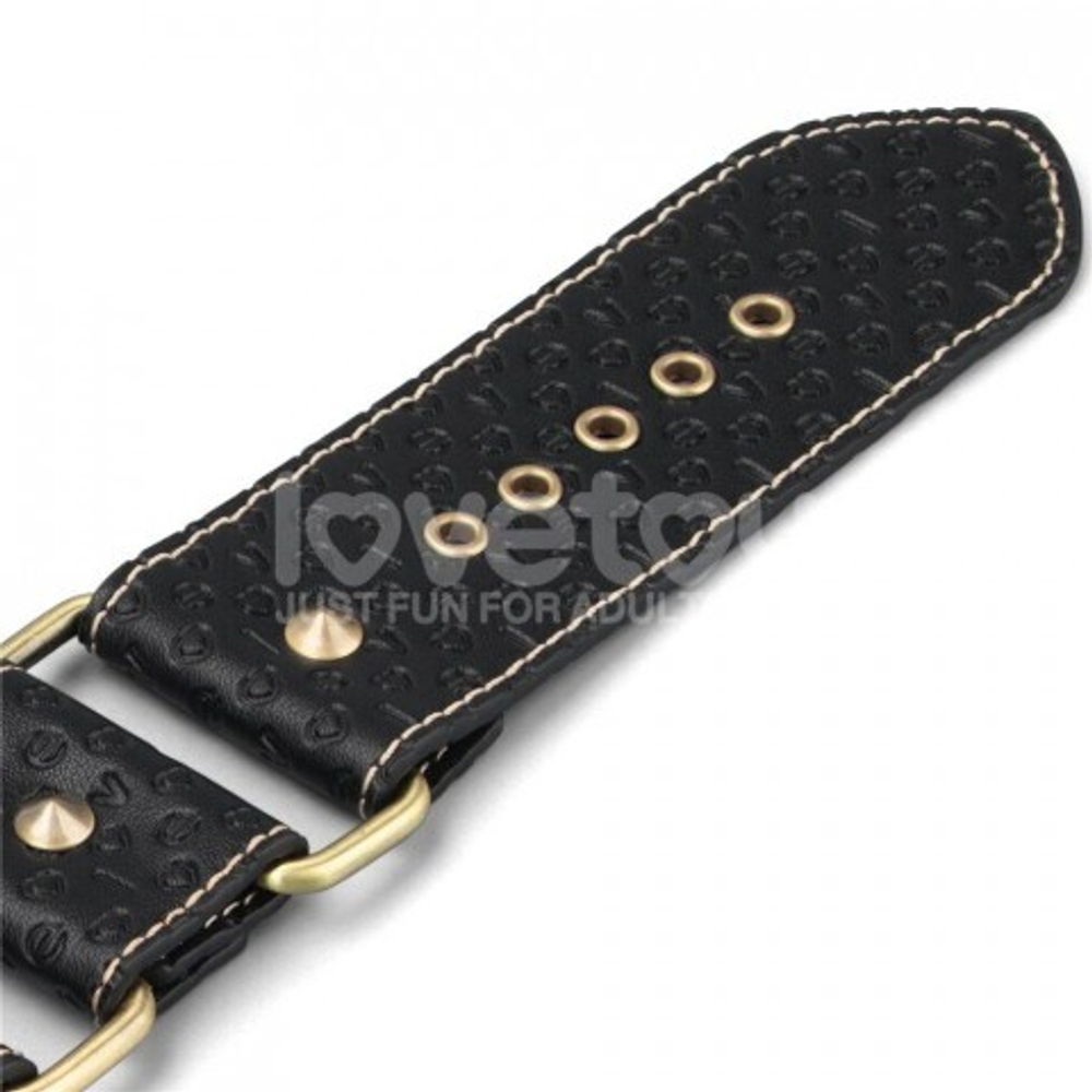 Оковы для ног Rebellion Reign