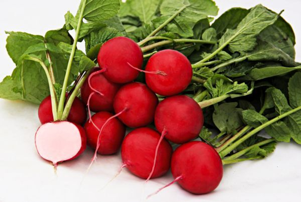 Редис Глориет F1 (10гр) Витагрин Профи