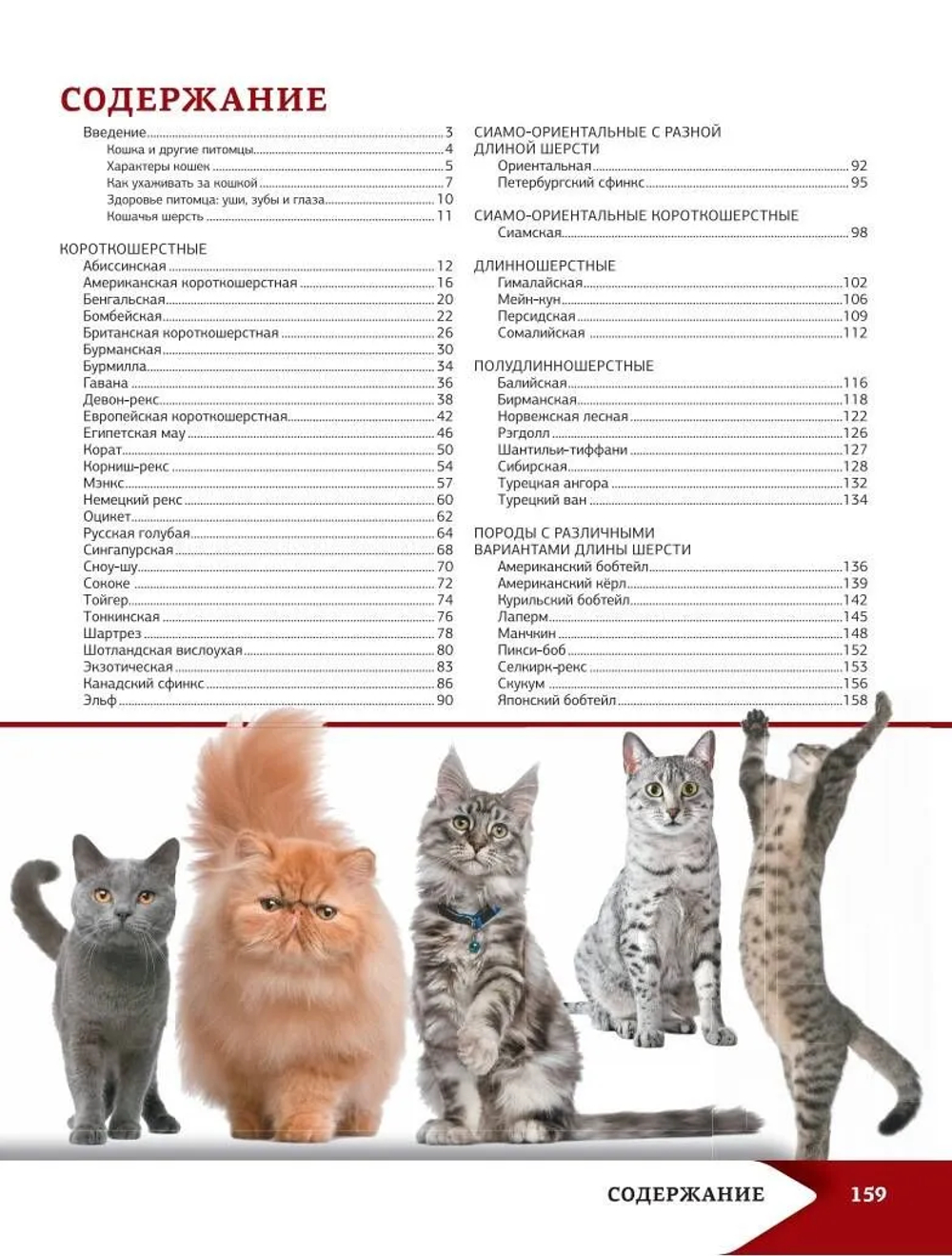 Самая лучшая иллюстрированная энциклопедия. Кошки