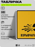Табличка для обеспечения безопасности "Взрывчатый материал", для производства, предприятия, организаций, 40х30 см, Silver Plane x Айдентика Технолоджи