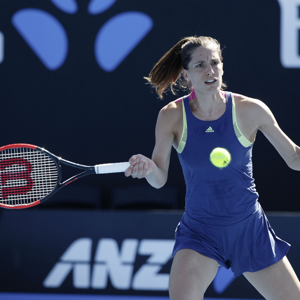 Струны теннисные Wilson Natural Gut String Set 12,2m - Ecru