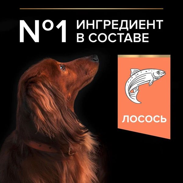 Уценка! Срок 07.08.26/ Сухой корм Pro Plan для взрослых собак мелких и карликовых пород с чувствительной кожей, с высоким содержанием лосося