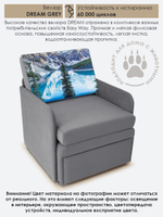 Кресло-кровать "Миник" с подлокотниками, купон Пейзаж