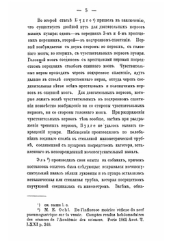 К вопросу об иннервации мочевого пузыря. Экспериментальные исследования | Скабичевский Василий Иванович