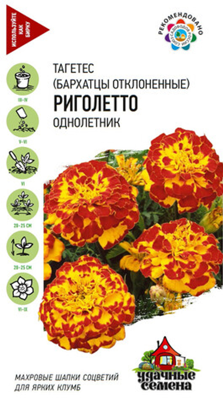 Бархатцы отклоненные Риголетто