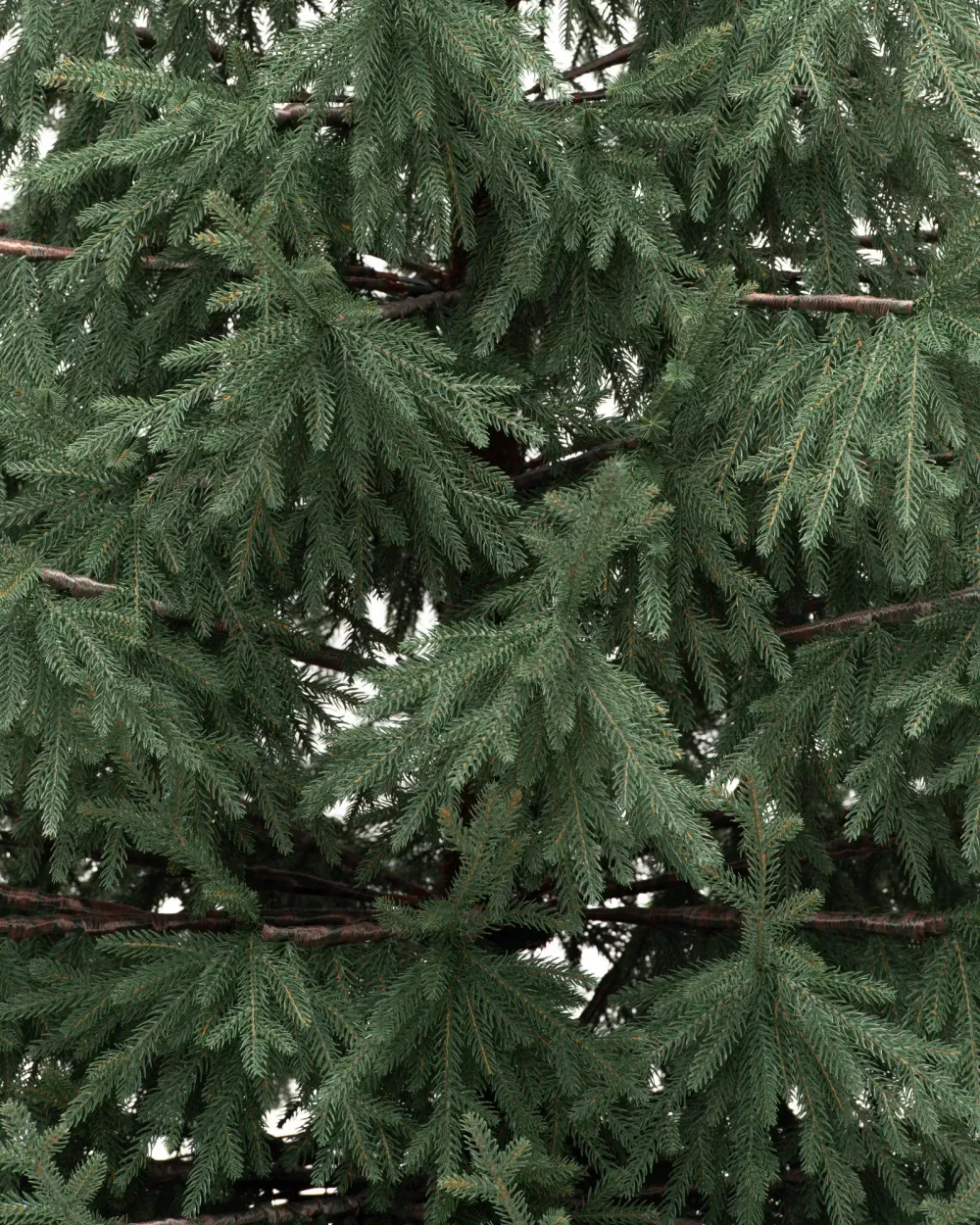 Ель искусственная «Заповедная» (Литая хвоя) 270 см / 2,7 м